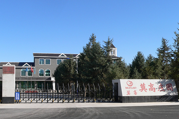 复兴
